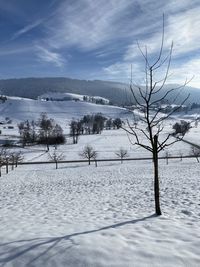 Bare trees on snow covered field against sky