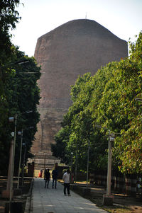 Rear view of people walking by plants against sky