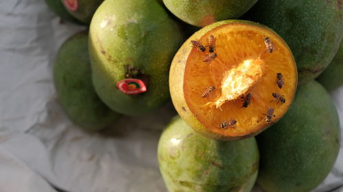 High angle view of fruits