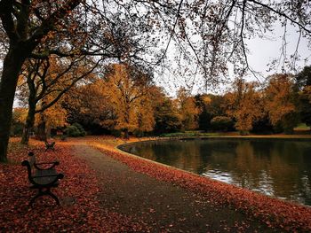 Scenic view of lake during autumn