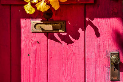 Vintage pink painted wood door with antique doorknob and letter slot with autumn wreath