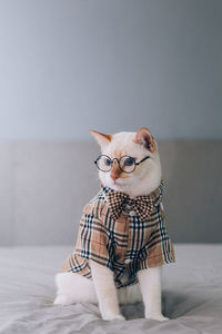 Portrait of cat sitting on bed at home