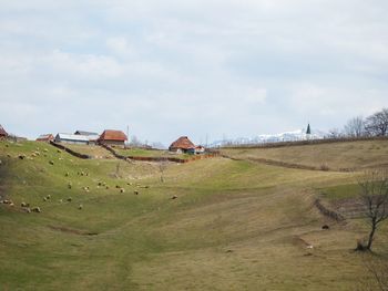 Houses on field against sky