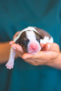 Midsection of person holding dog