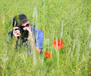 Man photographing poppy amidst plants on field during sunny day