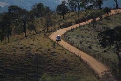 Road amidst trees on field