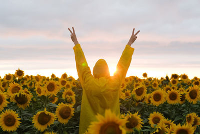 Close-up of sunflower on field against sky