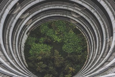 High angle view of plants growing amidst parking lot