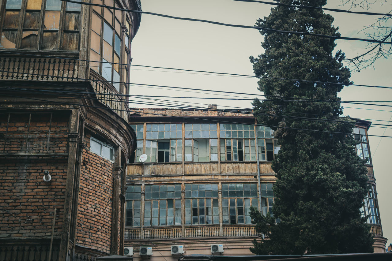 LOW ANGLE VIEW OF TREE AGAINST BUILDINGS