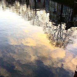 Reflection of tree in lake against sky