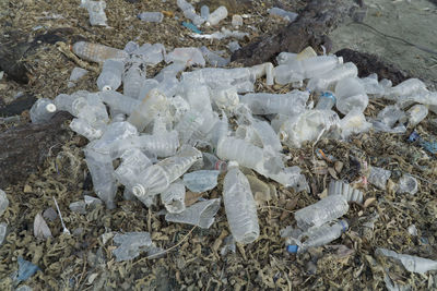 High angle view of pigeons on garbage