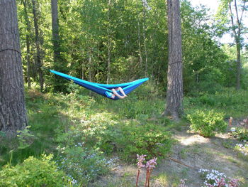 View of hammock on grass against trees
