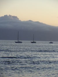 Sailboat sailing on sea against sky