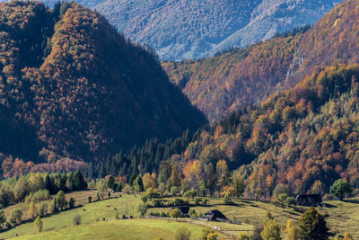 Scenic view of landscape during autumn