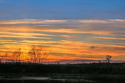 Silhouette trees on field against orange sky