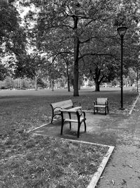 Empty bench in park