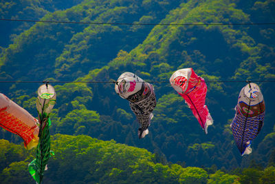Rear view of woman standing on mountain