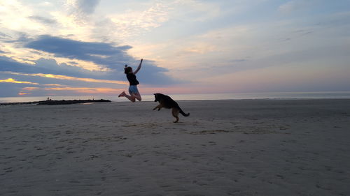 Full length of dog on beach against sky during sunset