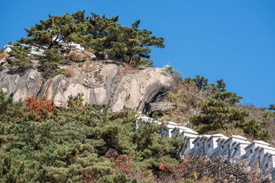 Low angle view of old ruins against clear blue sky