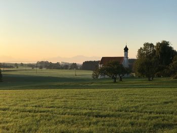 Scenic view of field against clear sky during sunset