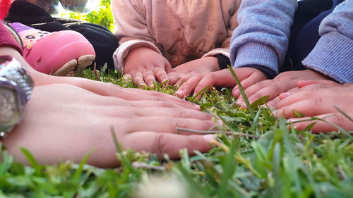 Midsection of hands holding plants