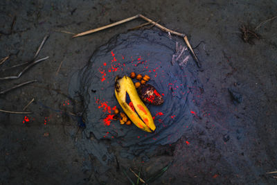 High angle view of fire on wood