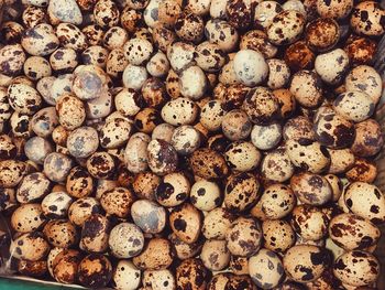 Full frame shot of quail eggs