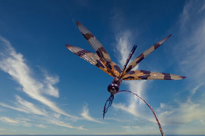 Low angle view of plant against sky