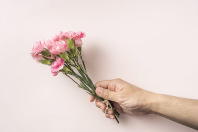 Close-up of hand holding rose against white background