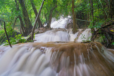 Scenic view of waterfall in forest