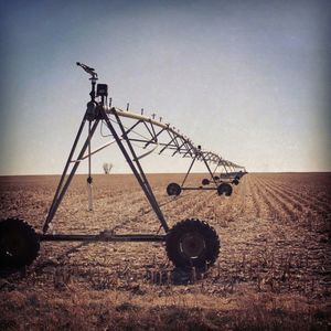 Traditional windmill in field