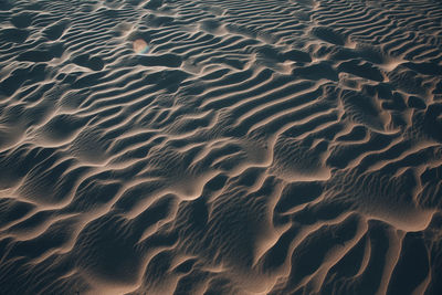 Full frame shot of sand dune