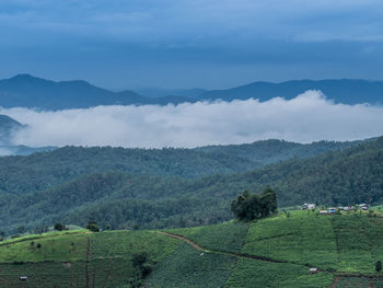 View of rice terraces at thailand.