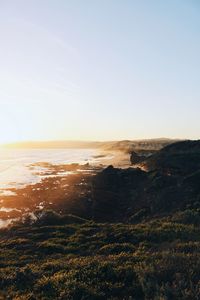 Scenic view of beach against sky