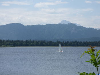 Windsurfing in the calm ocean