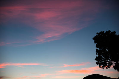 Low angle view of silhouette trees against sky during sunset