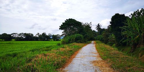 Dirt road along trees on field against sky