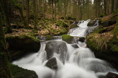 Close-up of stream flowing in forest