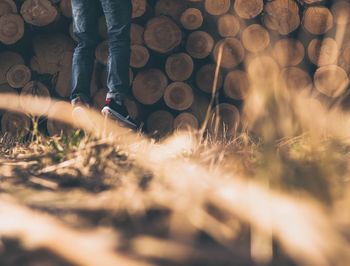 Low section of man standing on grass
