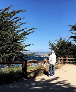 Rear view of man standing by tree against blue sky