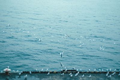 Sailboats in sea against sky