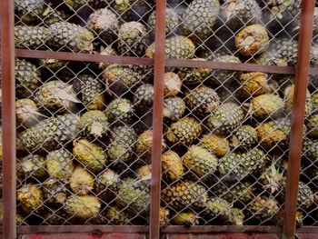 Close-up of chainlink fence in cage