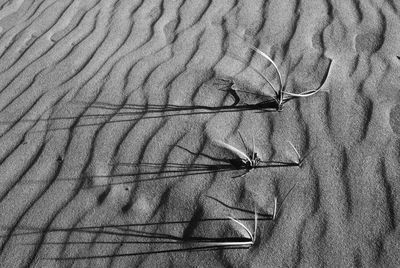 High angle view of shadow on sand