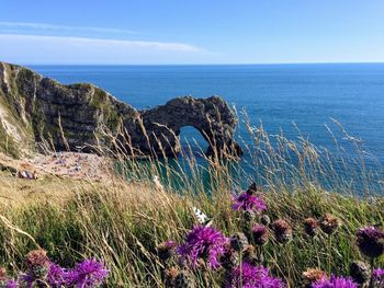 Scenic view of sea against blue sky