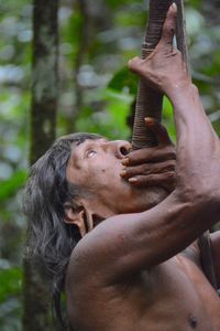 Close-up of human hand against trees in forest