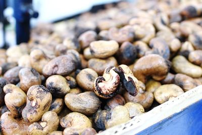 Close-up of cashews