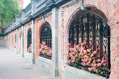 View of flowering plants on wall of building