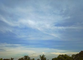 Low angle view of vapor trails in sky