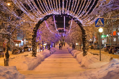 People walking on illuminated street during winter at night
