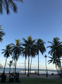 Palm trees on beach against clear sky